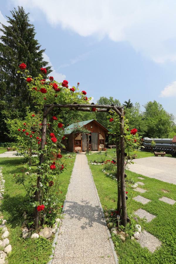 Adventure Cottage With Pool And Big Garden 布莱德 外观 照片